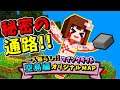 【マインクラフト】秘密の通路が貫通!バレバレでヤバイ!【1人暮らし空島編 パート17】