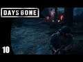 Burned and Buried - Days Gone - Part 10