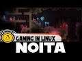 Noita on Linux | Ubuntu 20.04 | Steam Play