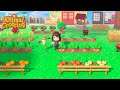 Construyendo una granja de cultivos en la isla - Animal Crossing: New Horizons