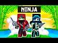 Playing as a NINJA in Minecraft!