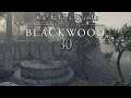 Let's Play ESO - Blackwood [Blind] [Deutsch] Part 30 - Veyond