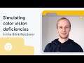 Simulating color vision deficiencies in the Blink Renderer (available in Flemish and English)