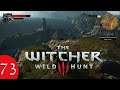 Witcher 3 - A Hallowed Horn (Part 73)