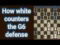 chess how white counters the G6 defense #Shorts