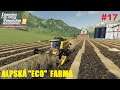 Mlácení pšenice a konečně mám vysněný lis - Farming Simulator 19 - Alpine Expansion DLC #17