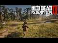 Red Dead Redemption II PC - Herbalist 9: 29 of 43 species of herb picked - Chapter 6: Beaver Hollow