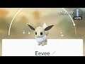 Shiny Eevee Evolve Pokémon GO (Community Day)