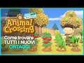 Come trovare TUTTI i nuovi ORTAGGI (4 metodi) su Animal Crossing New Horizons!