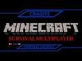 Finishing the Nether Network. CCSMP Server day 4! :D (Stream 21 Aug '19 s2 of 2)