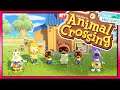 STRINGFISH I NEED YOU!!! In Animal Crossing: New Horizons