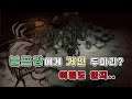 굶지마 투게더(Don`t Starve) 3대 400이상치는 헬창 볼프강으로 거인듀오 상대하기!!