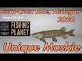Fishing Planet Unique Muskie Guide 2020 - Saint-Croix Lake, Michigan
