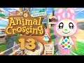 We got a new villager! Animal Crossing Stream #13