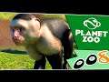 Planet Zoo Deutsch 🙊 #008 – Fliehende Stubenhocker 🙈 WQHD Let's Play