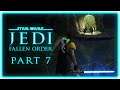 [ 7 ]  MY GAME MUST BE BROKEN • Star Wars Jedi Fallen Order Gameplay