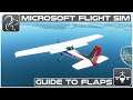 Tutorial #7 - Flaps - Microsoft Flight Simulator
