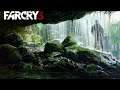 Лучший Фаркрай ● Far Cry 3