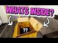 I GOT A MYSTERIOUS BOX! (Horror Game) The Box - CrazeLarious