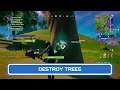 Destroy Trees | Rare Quest Guide | Fortnite Chapter 2 Season 7