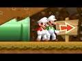 New Super Duper Mario Bros. Wii - 2 Player Co-Op Walkthrough #04