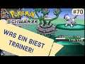 Pokemon Schwarz Lets Play #70 | Weiter auf Route 18 & Schrein der Ernte