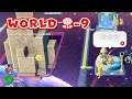 Super Mario 3D World Switch World Flower 9 (11-9) stars - 3D World Bowser's Fury Switch