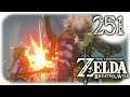The Legend of Zelda: Breath of the Wild #251 💎Let's Play Wii U💎 Der legendäre Leunenschatz