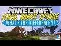 What Is The Difference Between Sponge, Forge, & Bukkit Servers?