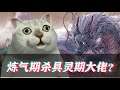 【鬼谷八荒】炼气期杀具灵期大佬?还完美天道筑基?(第二集) Tale of Immortal
