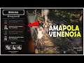 Como CONSEGUIR (FÁCIL)😎la Receta AMAPOLA VENENOSA!!!😎 Red dead redemption 2 ONLINE