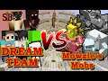 DREAM TEAM VS Mowzie's Mobs Bosses | Minecraft mobs Battle | Dream mod vs Mowzie's mobs