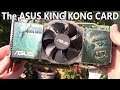 Ebay Finds: ASUS' Promotional King Kong Graphics Card
