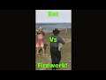 Firework To The Face! GTA Online funny moment #shorts
