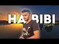 Habibi Edit ❤️🔥 Ft. @UjjwalGamer #ujjwalgamer #herobrinesmp #minecraft