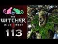 Let's Play - The Witcher 3: Wild Hunt - Ep 113 - "Respect Your Elders"