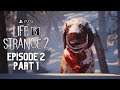 LIFE IS STRANGE 2 PS5™ Walkthrough Gameplay Episode 2 Part 1 [1080p 60FPS] (No Commentary)