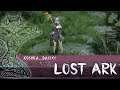 Lost Ark 🐾 День 22. Еще один денб для игрищ