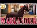 Neue Rasse: Warlander 🦄 Horse Haven World Adventures #402