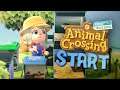Animal Crossing New Horizons 🏝️ START IN EIN NEUES LEBEN