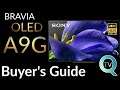 😒Sony A9G/AG9 Buyer's Guide| Ep.654