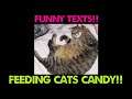 FUNNY TEXTS!! Feeding cats candy?