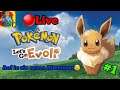 Livestream Pokémon Lets go Evoli. Auf in eine neue Welt. #1