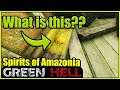There is a super SECRET gold ARTEFACT in Spirits of Amazonia - Green Hell