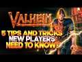 Valheim: 5 Tips and Tricks New Players Need To Know!