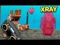 XRAY is ALWAYS ON with ADMIN COMMANDS in Murder Mystery 2!! (Roblox Modded MM2)