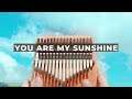 You Are My Sunshine Kalimba Tutorial for Beginners with Tabs