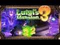 Flauschiges Kätzchen oder Wilder Tiger 👻22: Luigis Mansion 3