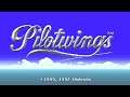 Flight Club - Pilotwings