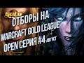 Болеем За СНГ Foggy Hawk 💾 Warcraft Gold League Winter
